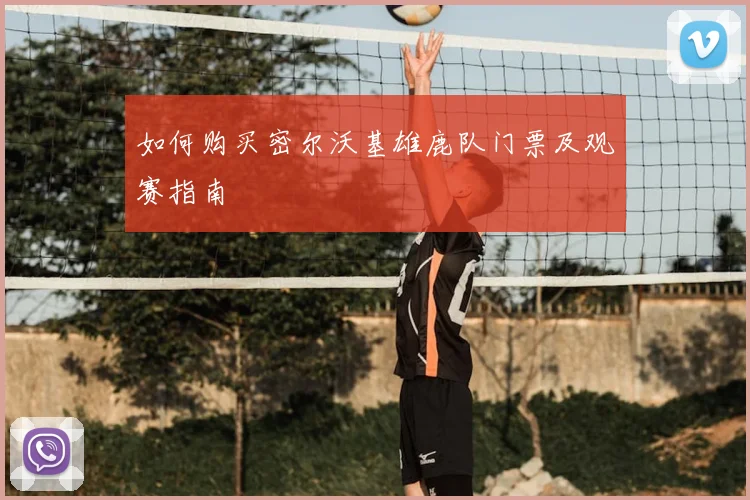 如何购买密尔沃基雄鹿队门票及观赛指南